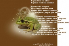 De prins